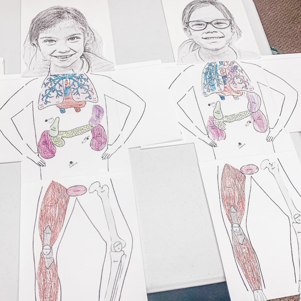 classical conversations science