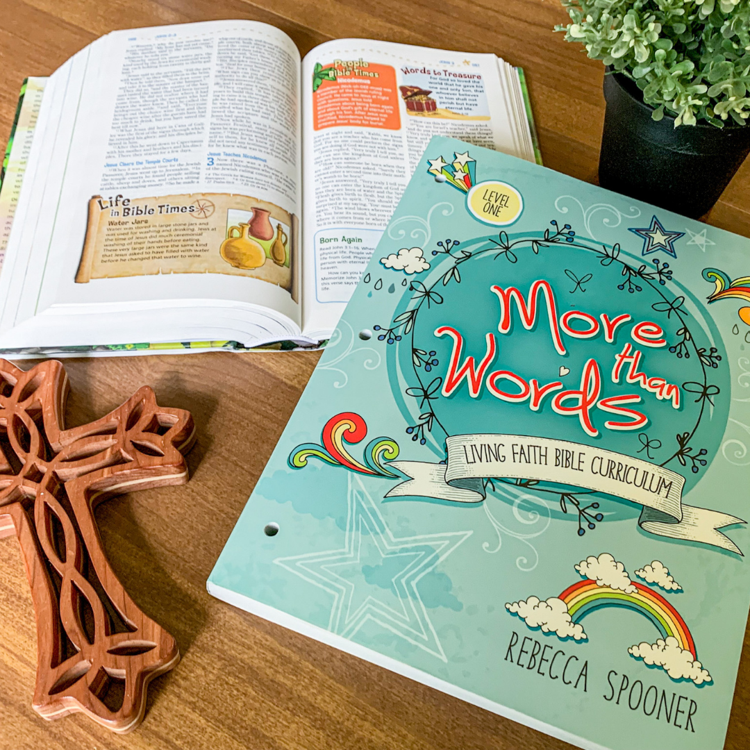 More Than Words Curriculum Review