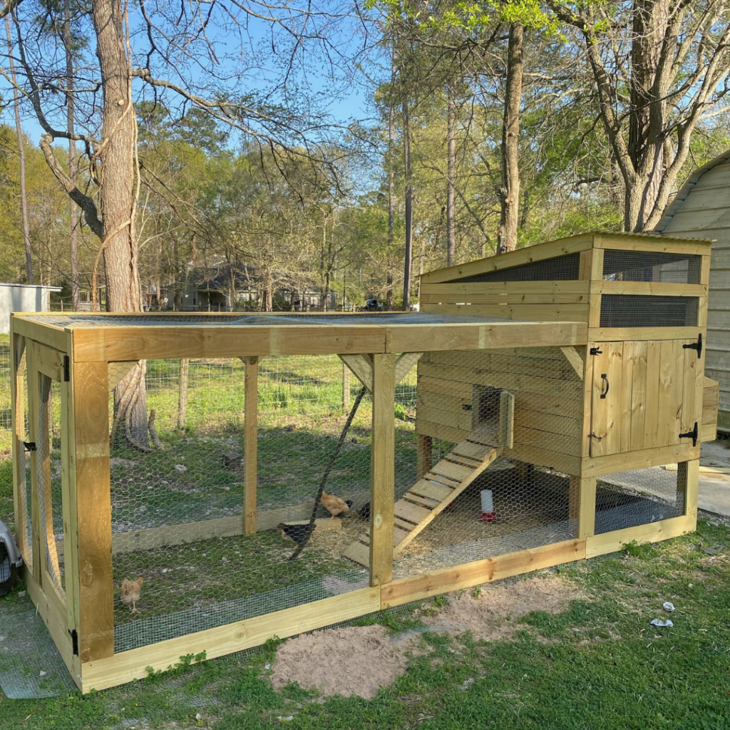chicken coop