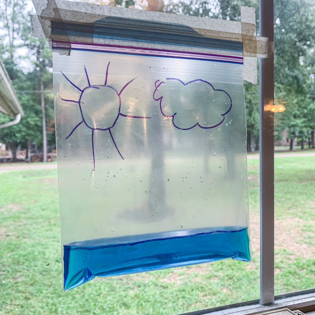 water cycle in a bag
