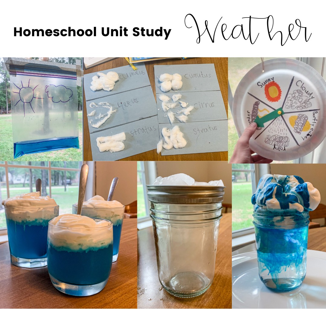 Homeschool Unit Study