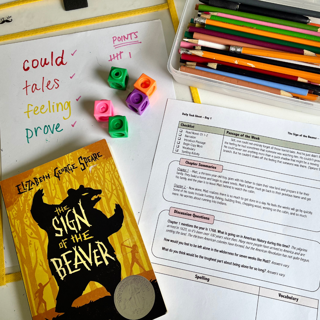 Homeschool Novel Study – DIY Language Arts