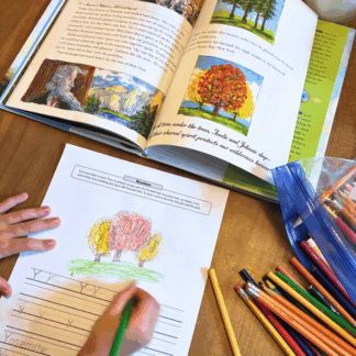 Camping | Picture Book Study