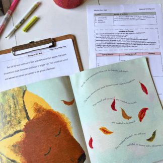 Fall | Picture Book Study