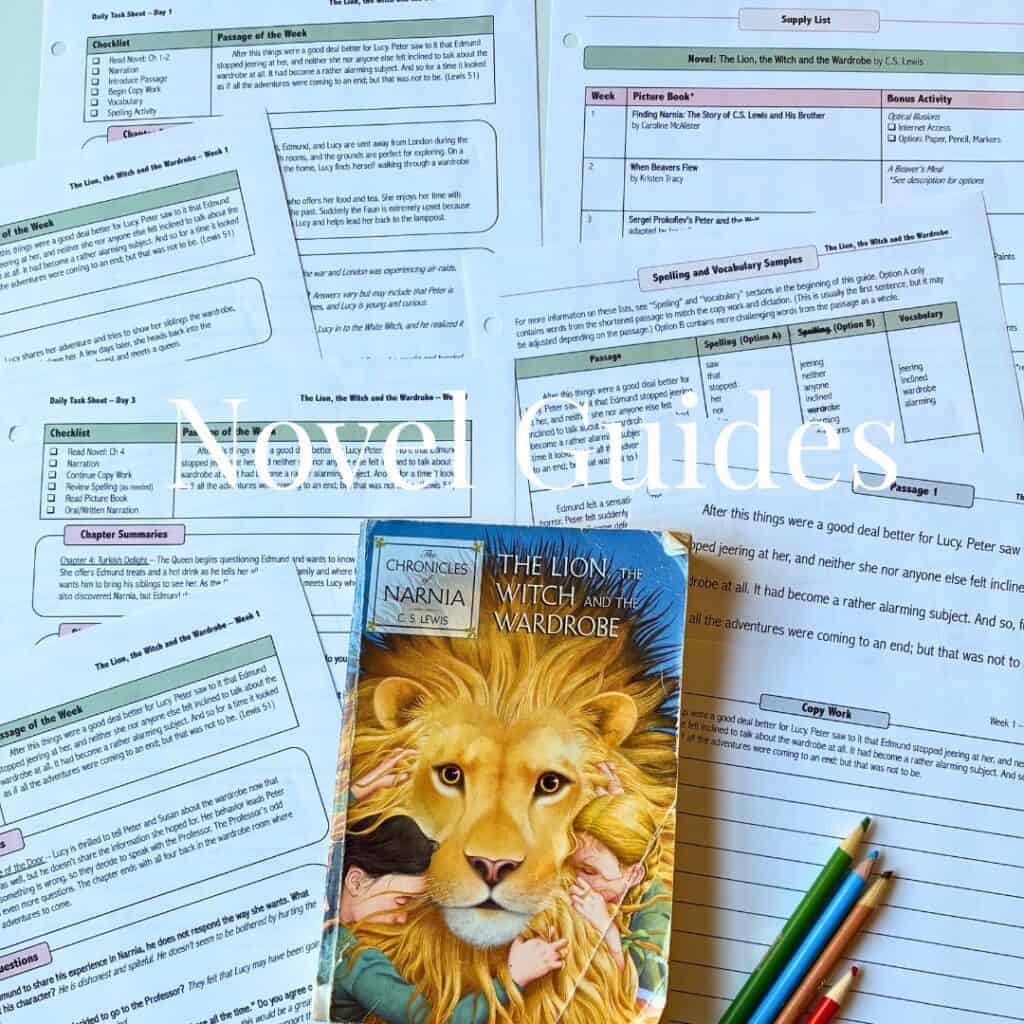 Children's reading book cover featuring "The Lion, the Witch and the Wardrobe" by C.S. Lewis.