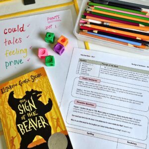 The Sign of the Beaver | Novel Guide