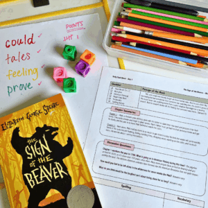 The Sign of the Beaver | Novel Guide