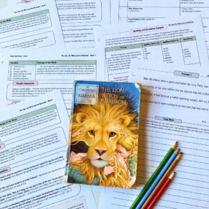 Pippi Longstocking Novel Study 6 novel guide sample
