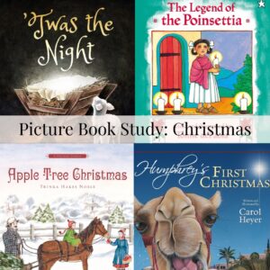 A cozy collection of Christmas-themed children's books, including "Twas the Night," "The Legend of t.