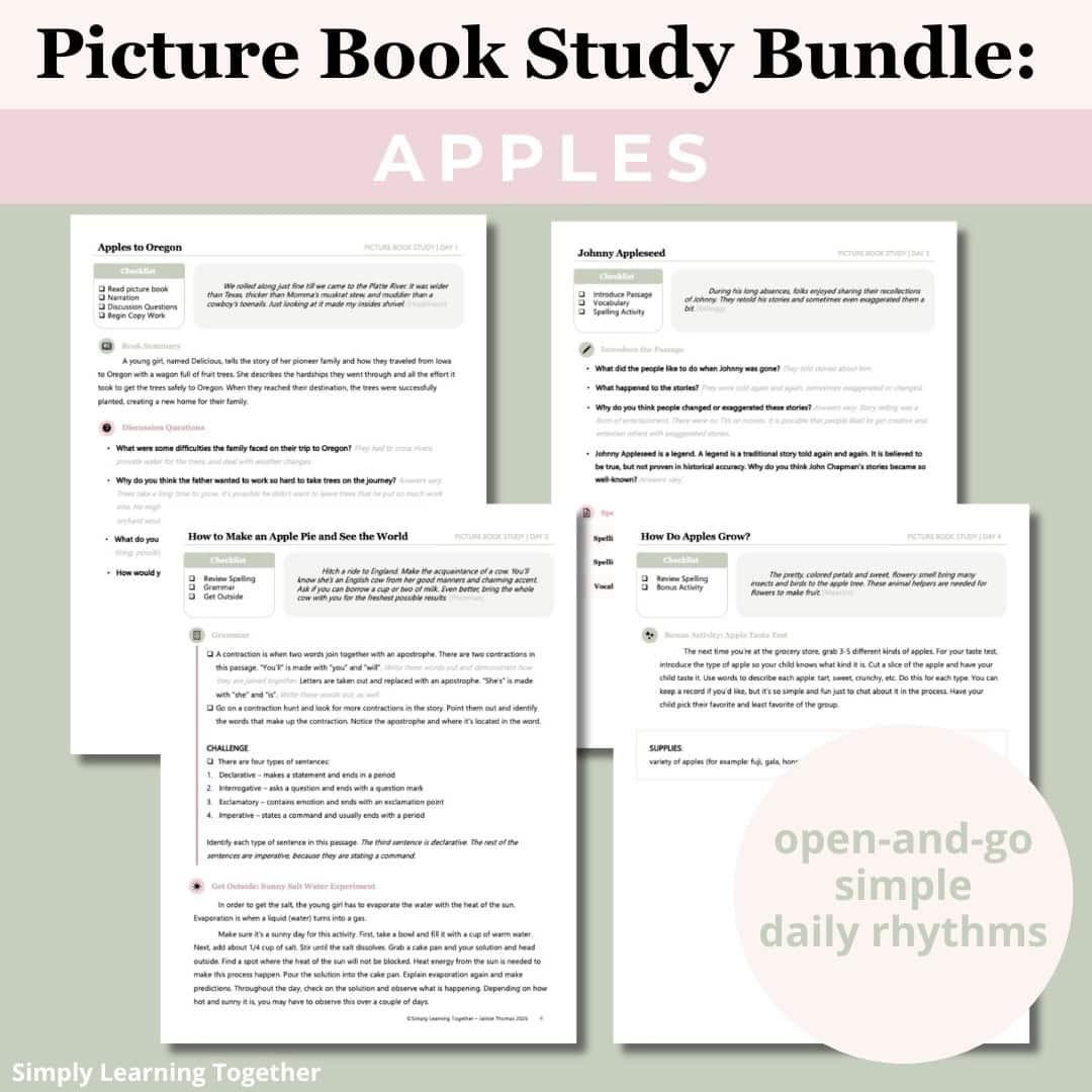 Apples Picture Book Study Bundle 2 Apples Picture Book Study Bundle - Image 2