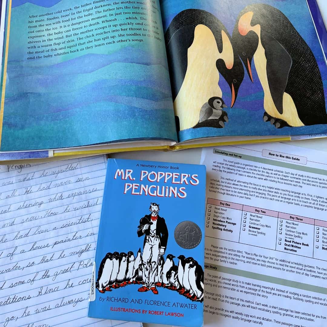 Mr. Popper's Penguins | Novel Guide 1 A colorful children's book illustration featuring penguins and a penguin chick, promoting early lear.