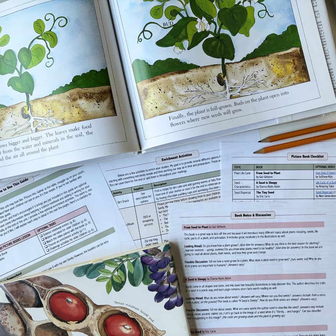 Science Through Picture Books | All About Plants 1 Educational plant growth activity with seedlings and gardening tools.