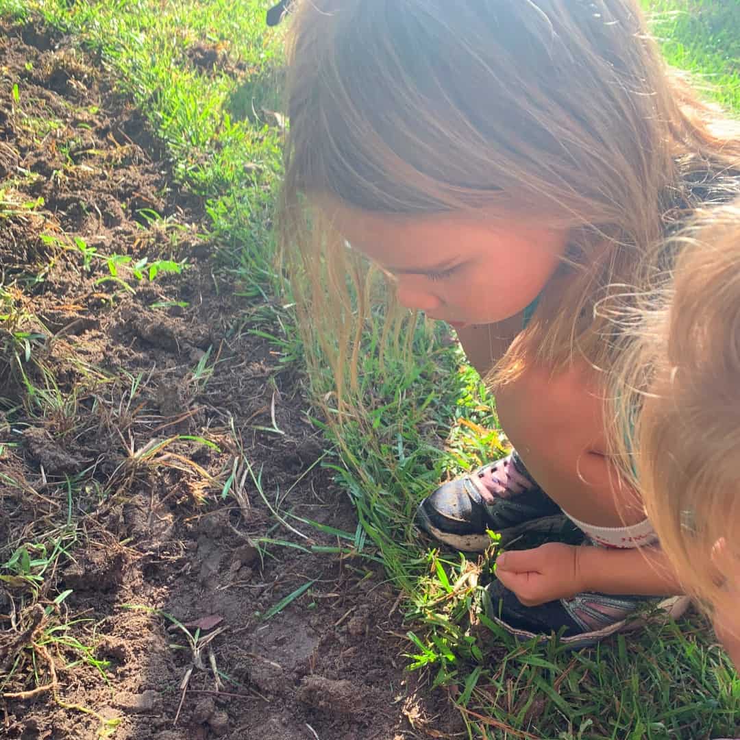 Homeschool Day in the Life with 4 Children - Ages 7, 5, 2.5, 1 4 1 2
