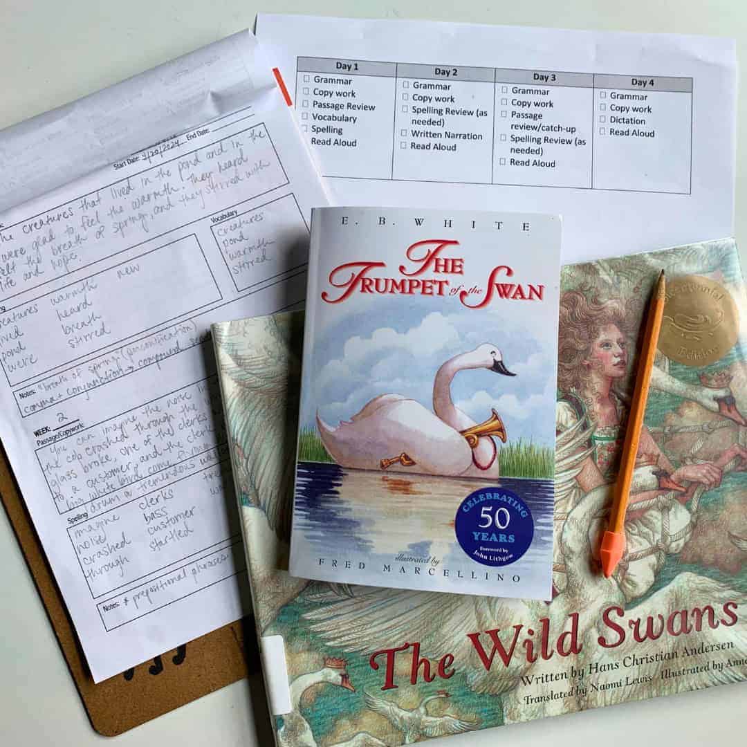 End of Year Curriculum Review – Family Subjects End of Year Curriculum Review – Family Subjects SLT 3