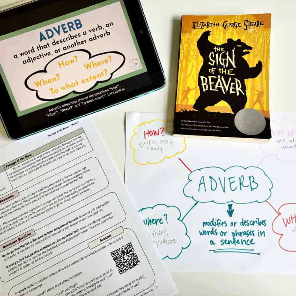 Homeschool Novel Study - DIY Language Arts Homeschool Novel Study DIY Language Arts 2 1