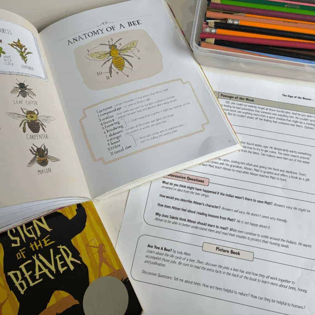 Homeschool Novel Study - DIY Language Arts worksheets for grammar usage
