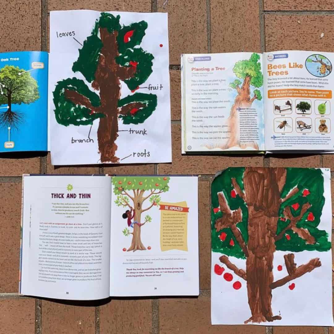 Homeschool Preschool Curriculum Review 4 Homeschool Preschool Curriculum Review 1