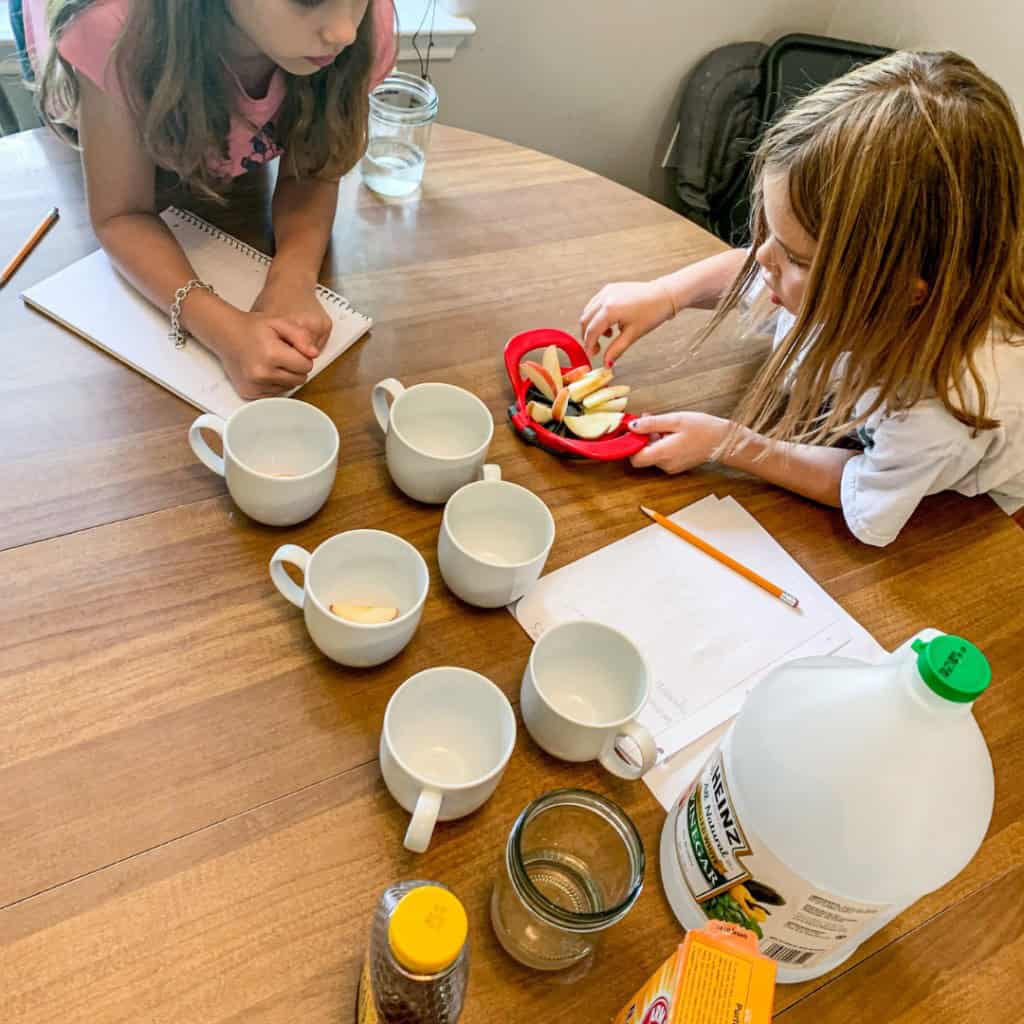 Homeschooling after the Holidays Homeschooling after the Holidays