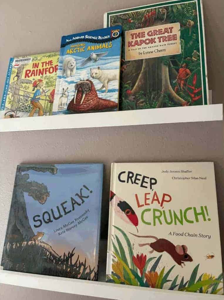 Teach Science through Picture Books in Your Homeschool A colorful display of children's books about nature, animals, and adventure.