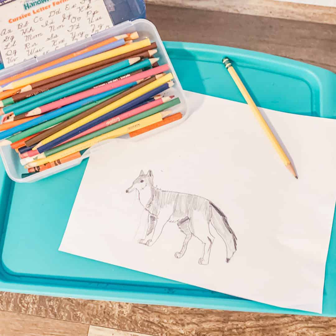 The Courage of Sarah Noble – A Homeschool Read Aloud Experience The Courage of Sarah Noble – A Homeschool Read Aloud Experience SLT 2