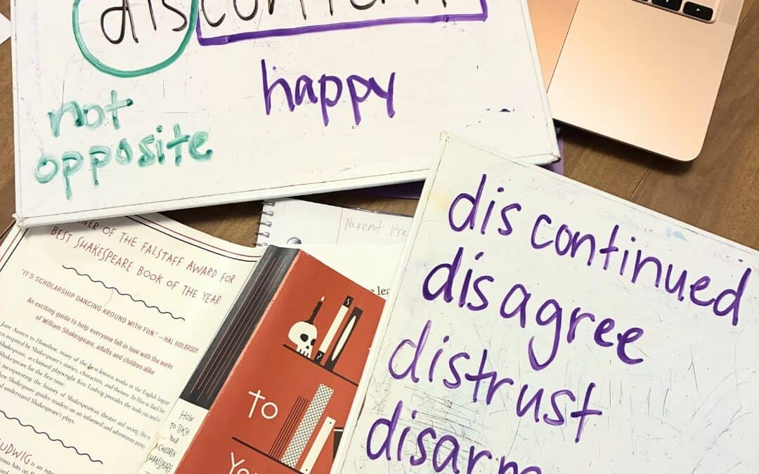 example of word study using the prefix -dis