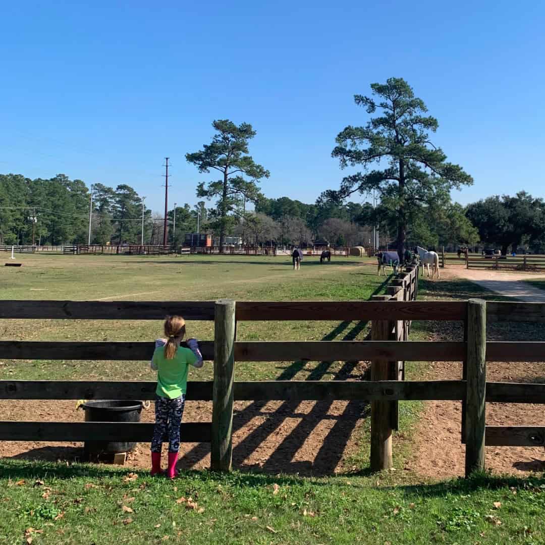 What is Homeschool Kindergarten really like? What is Homeschool Kindergarten really like?