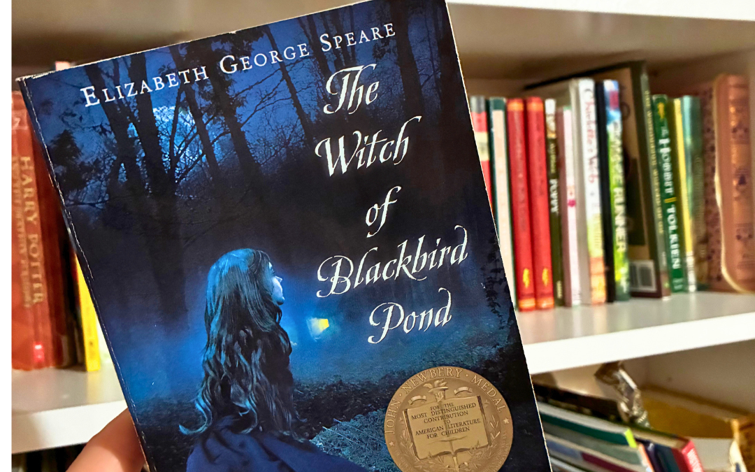 the witch of blackbird pond novel cover